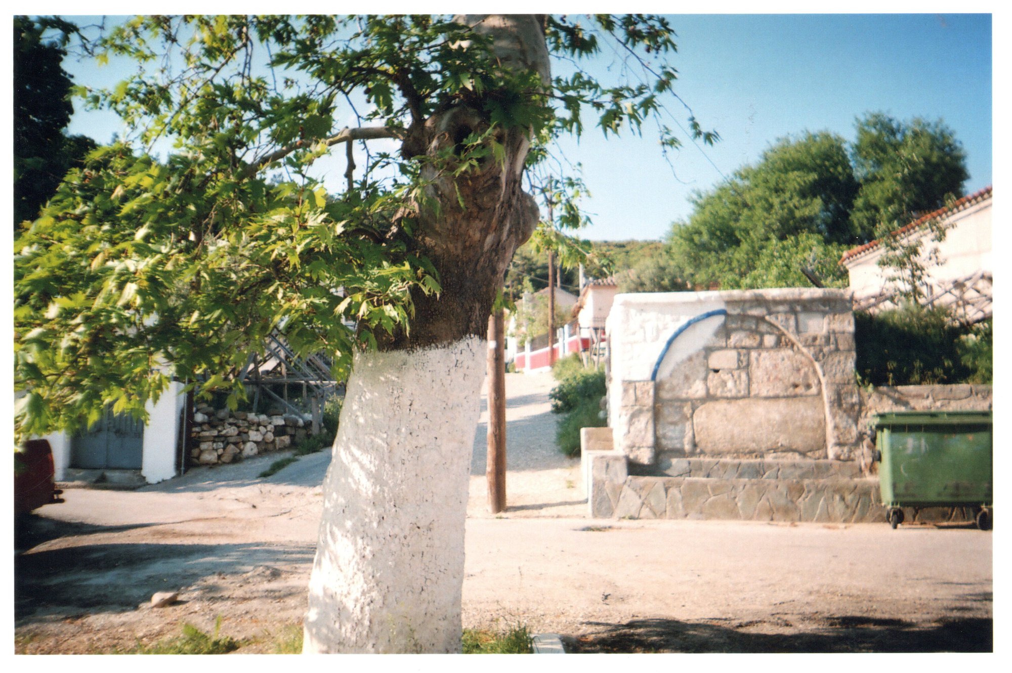 Δέντρο
